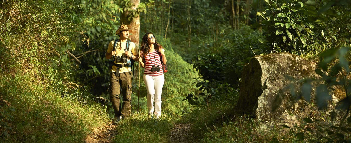 Munnar Nature Tour
